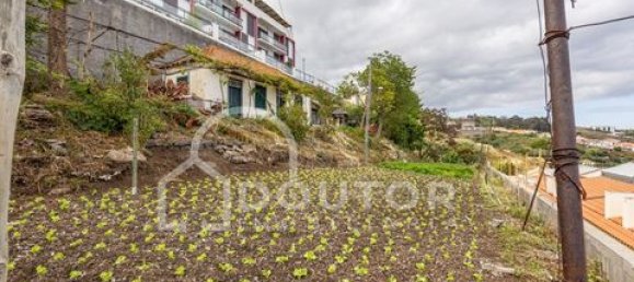 2 غرف نوم فيلا في Canico, Portugal رقم 190189 9