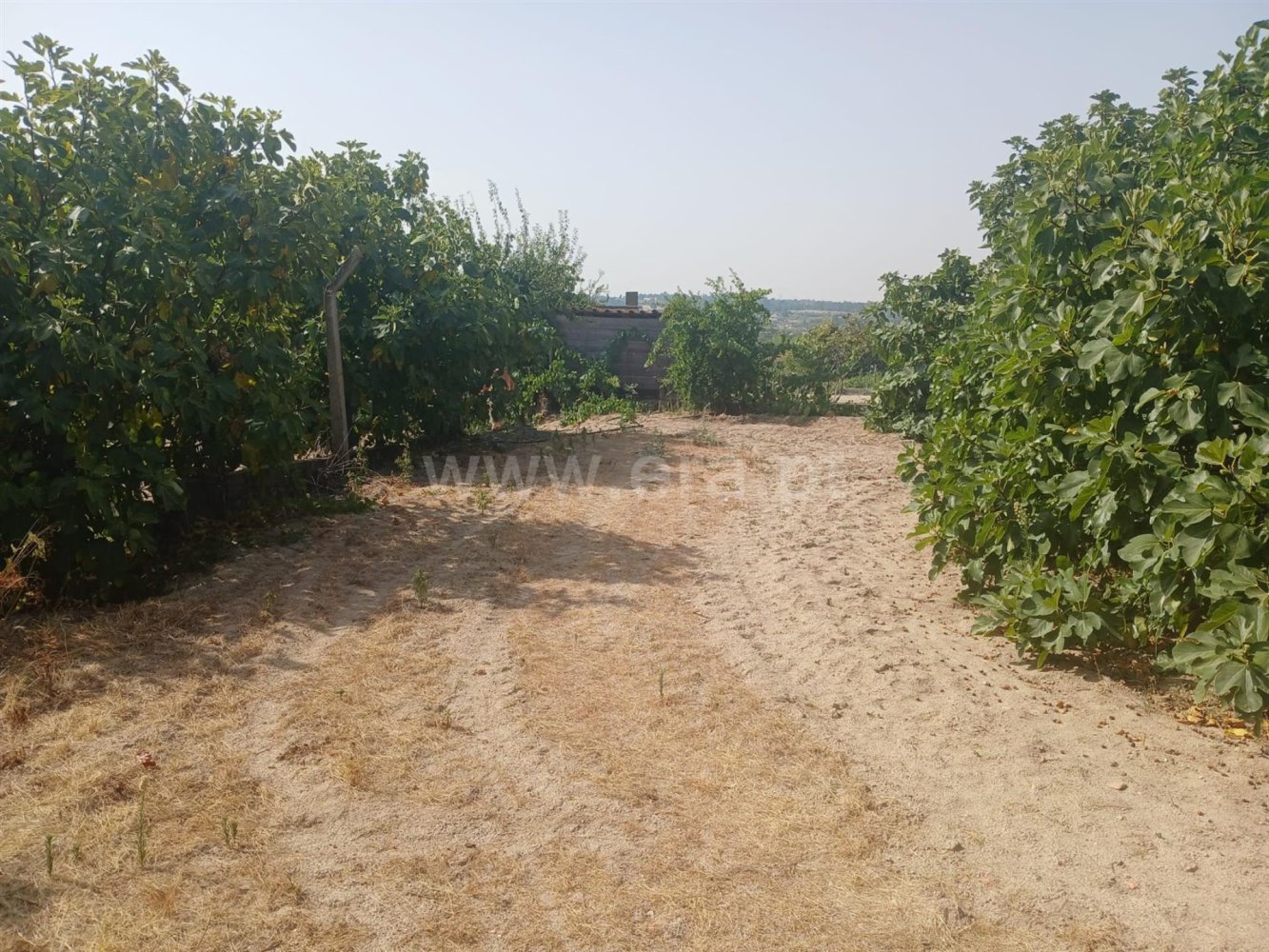  Land in Fundao, Portugal No. 275051