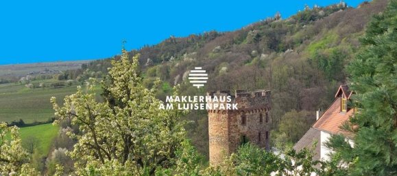 3-salle Maison à Bad Durkheim, Germany No. 313581 49