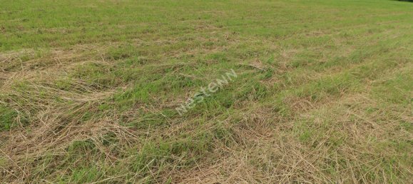  Land in Amifontaine, France No. 70143 4