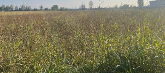 Grundstück in Caravaggio, Italy 13260m², Nr. 284811 4