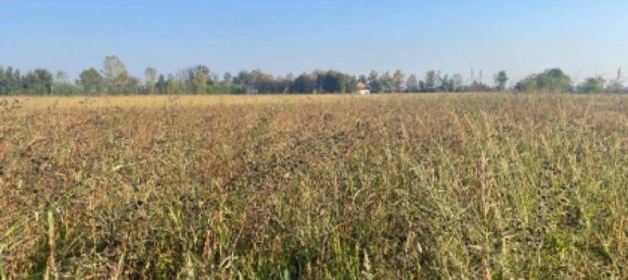 Grundstück in Caravaggio, Italy 13260m², Nr. 284811 5