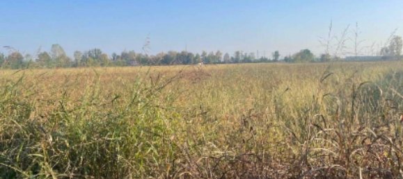 Grundstück in Caravaggio, Italy 13260m², Nr. 284811 3