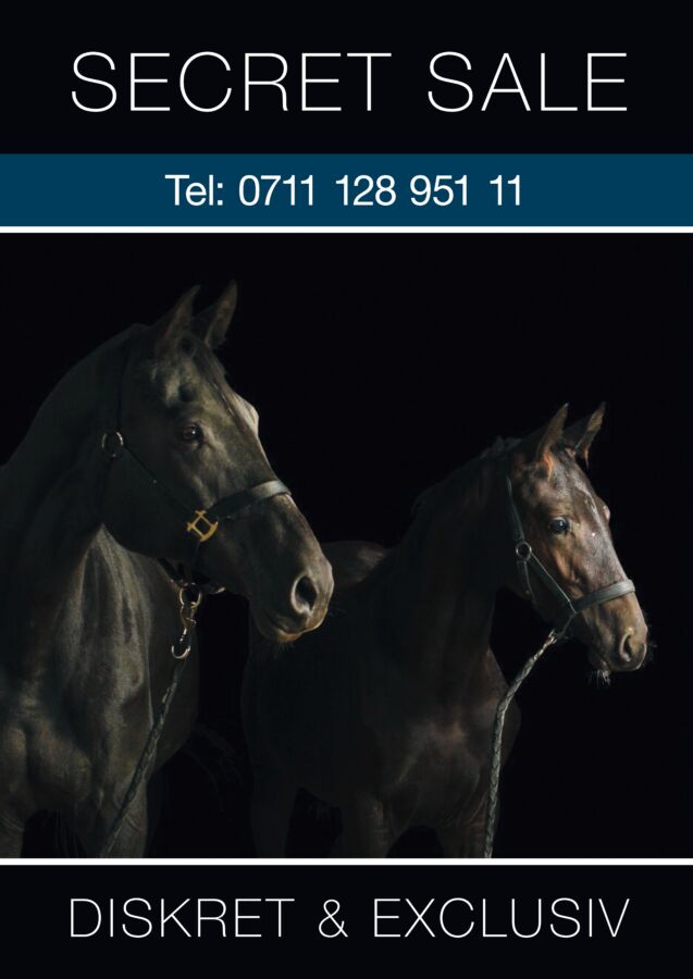 4 bedrooms Building in Rems-Murr-Kreis, Germany No. 23214