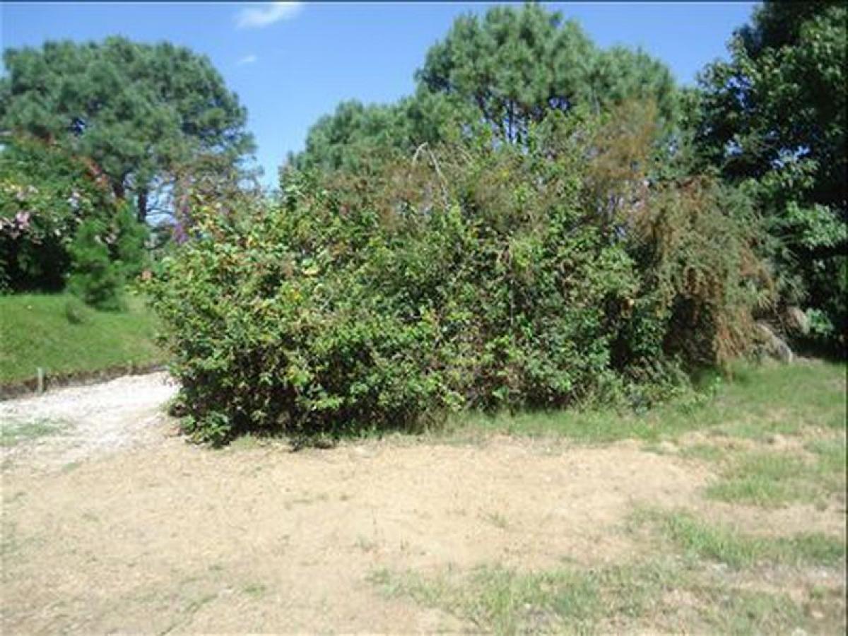  قطعة أرض في Maldonado, Uruguay رقم 14261