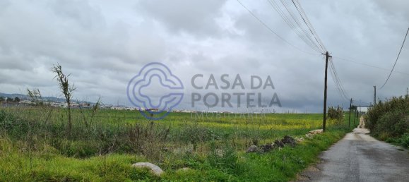 10600m² Land in Marco de Canaveses, Portugal No. 80992 8