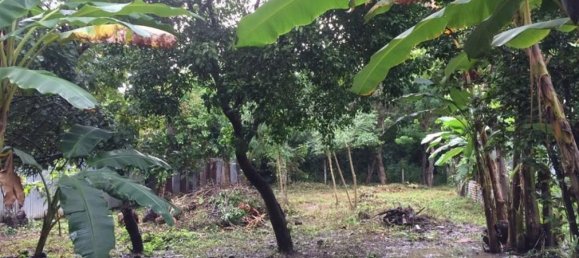  Land in Liberia, Costa Rica No. 1556 6