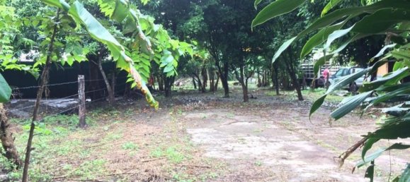  Land in Liberia, Costa Rica No. 1556 5