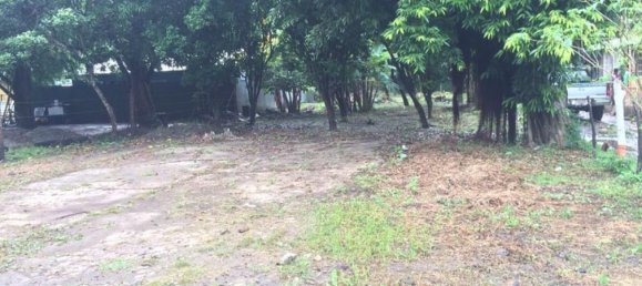  Land in Liberia, Costa Rica No. 1556 3