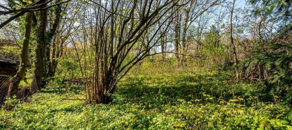 Casa de 4 habitaciónes en Giesshubl, Austria No. 148501 33