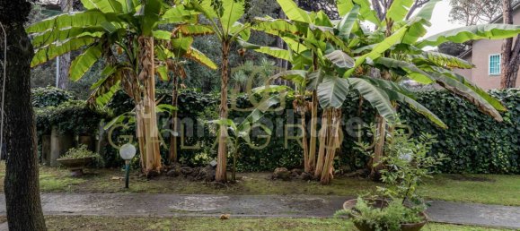 Villa T6 em Fiumicino, Italy N.º 264500 30