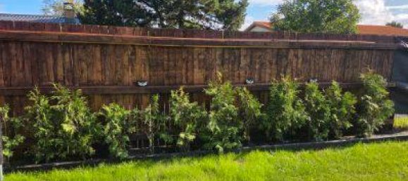 Grundstück in Rosenthal, Germany, Nr. 333327 5