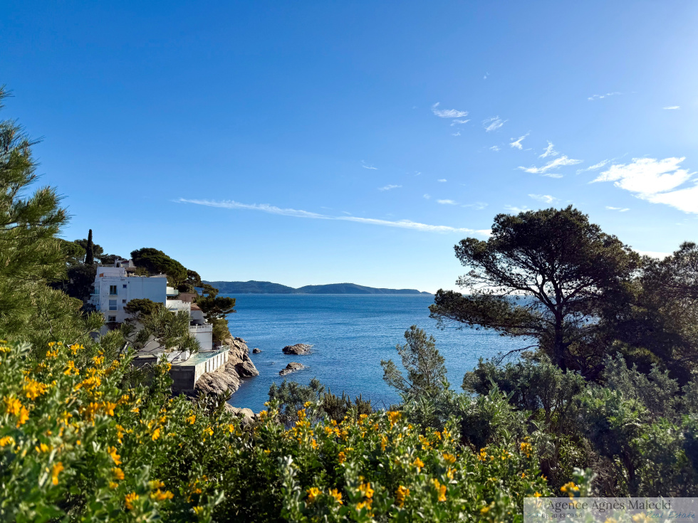 1 bedroom House in Cavalaire-sur-Mer, France No. 101470