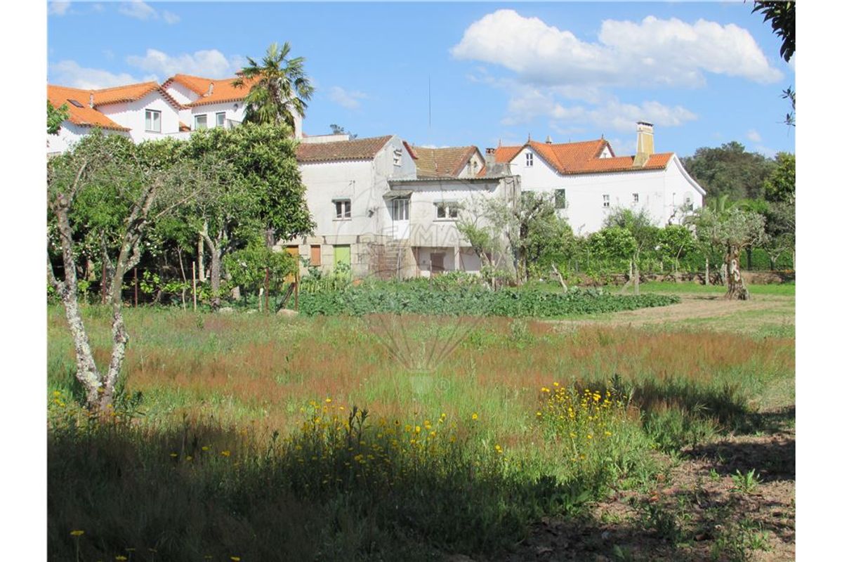 6 غرف نوم منزل في Tabua, Portugal رقم 21760