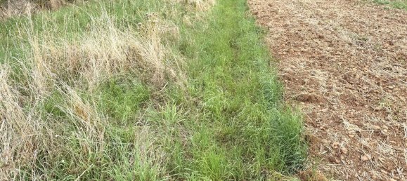 Grundstück in Euskirchen, Germany 7528m², Nr. 274075 3