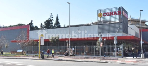 1 room Commercial property in Rome, Italy No. 165767 6