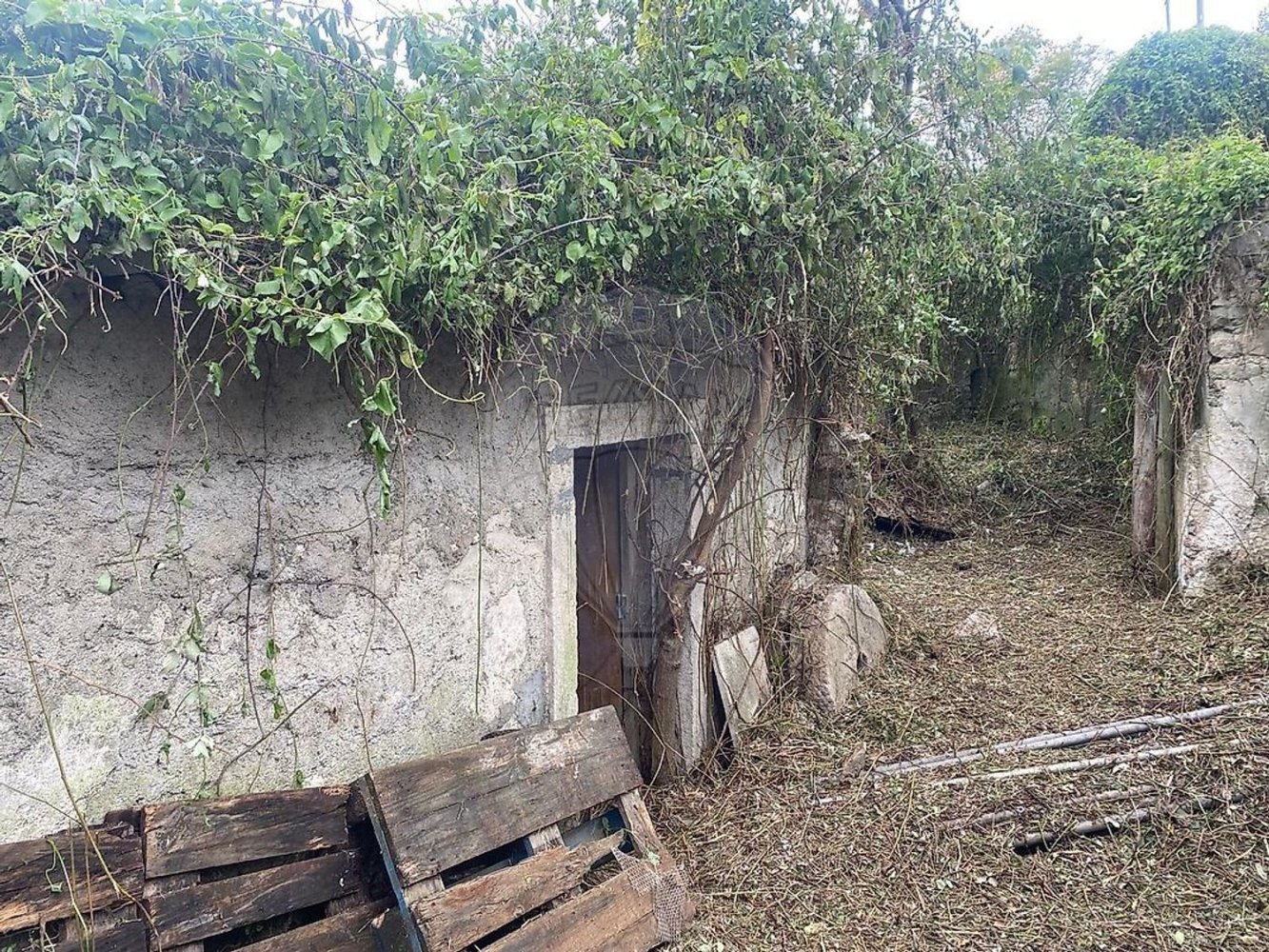3 chambres Maison à Sintra, Portugal No. 56511