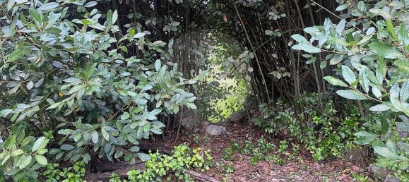 3 chambres Maison à Sintra, Portugal No. 56511 29