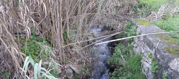 3 chambres Maison à Sintra, Portugal No. 56511 18