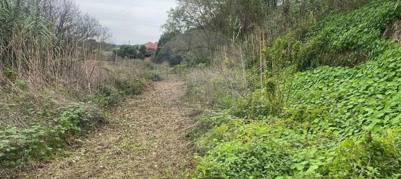 3 chambres Maison à Sintra, Portugal No. 56511 26