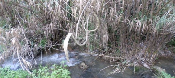3 chambres Maison à Sintra, Portugal No. 56511 19