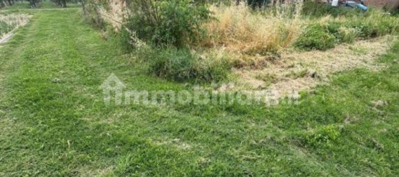 Studio in Mordano, Italy No. 266857 9