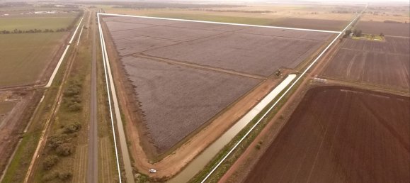 Haus in Leeton, Australia, Nr. 1062 2