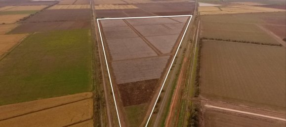 Haus in Leeton, Australia, Nr. 1062 5