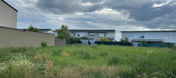 Земельный участок в Вайден ам Зе, Австрия № 243266 4