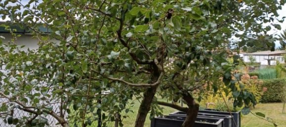 Grundstück in Märkisch-Oderland, Germany, Nr. 237973 10