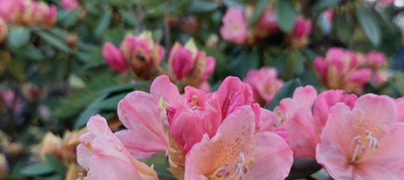 Grundstück in Märkisch-Oderland, Germany, Nr. 237973 6