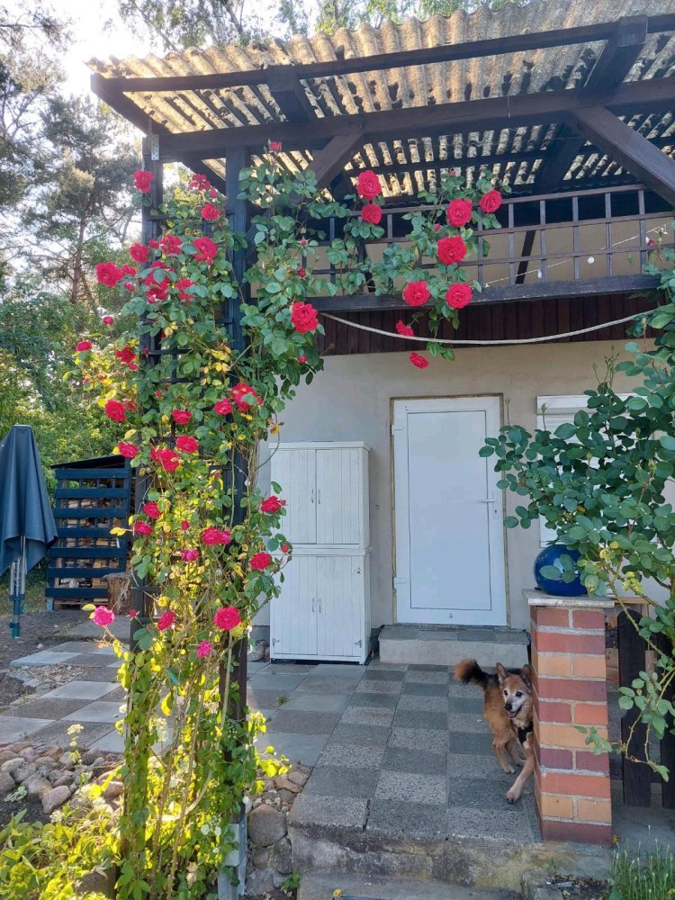 Grundstück in Märkisch-Oderland, Germany, Nr. 237973