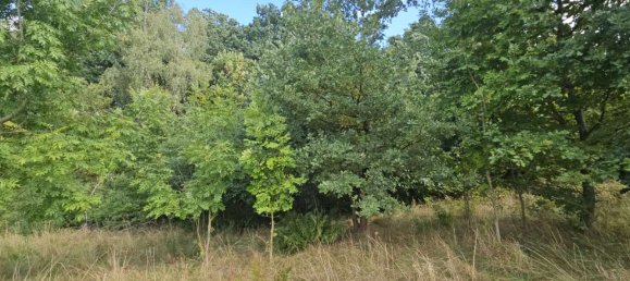 Grundstück in Minden-Lübbecke, Germany, Nr. 289968 2