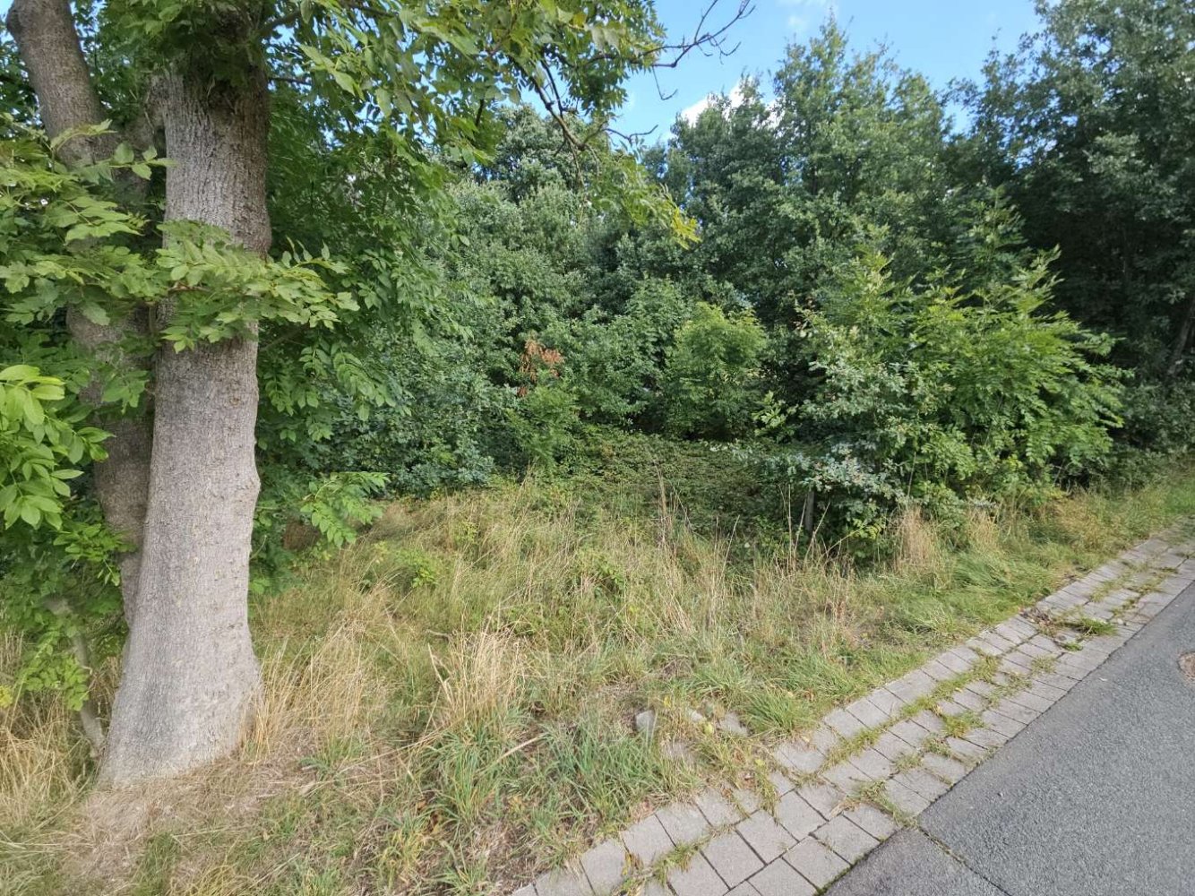 Grundstück in Minden-Lübbecke, Germany, Nr. 289968