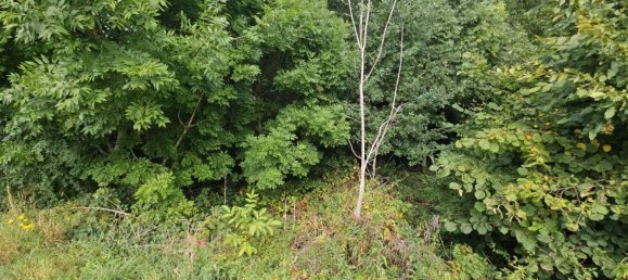 Grundstück in Minden-Lübbecke, Germany, Nr. 289968 3