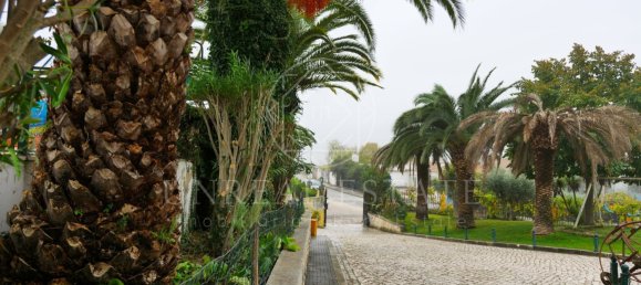 8 bedrooms House in Torres Novas, Portugal No. 49906 17