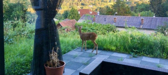 6 rooms Villa in Eichgraben, Austria No. 210038 18