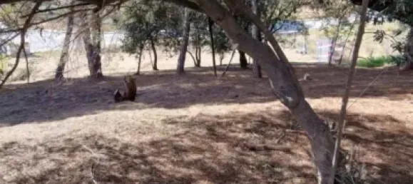 Grundstück in Sant Pol de Mar, Spain 570m², Nr. 185517 7