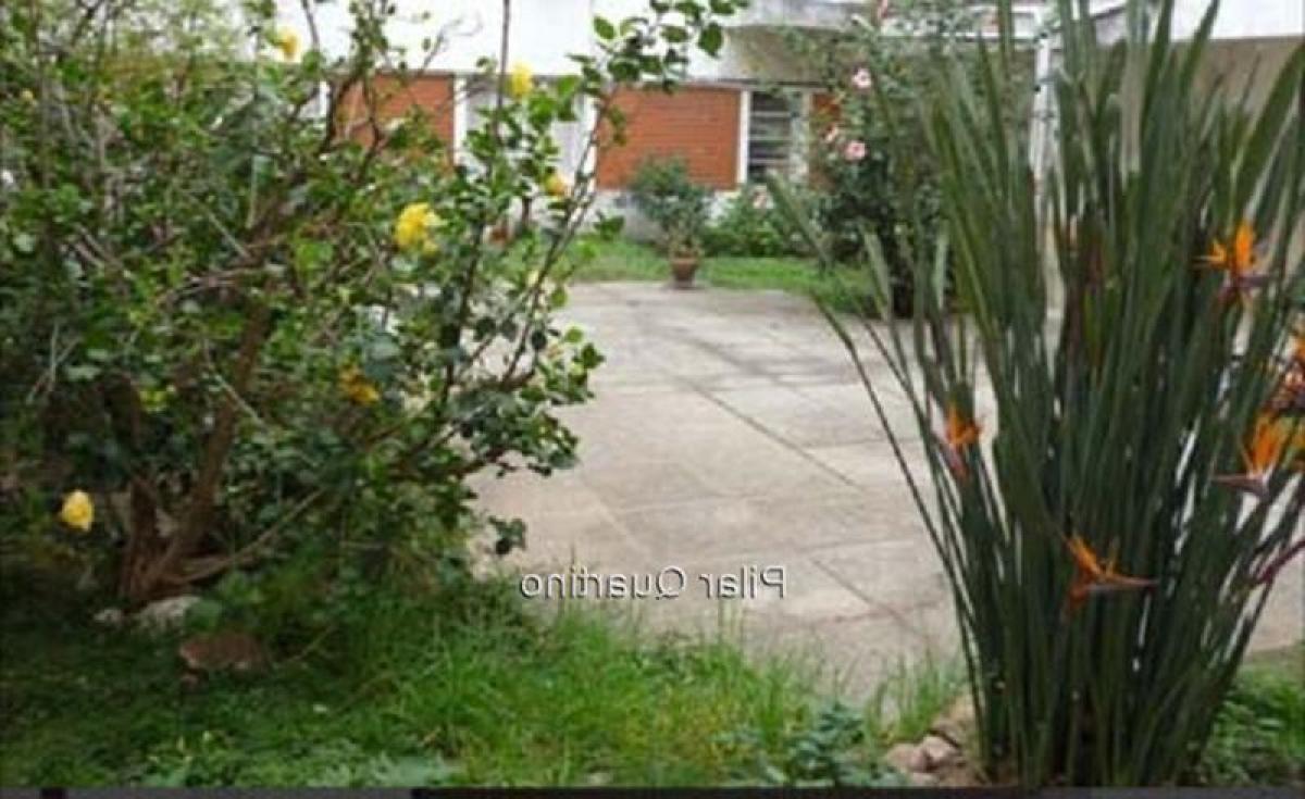 Студия в Монтевидео, Уругвай № 4719