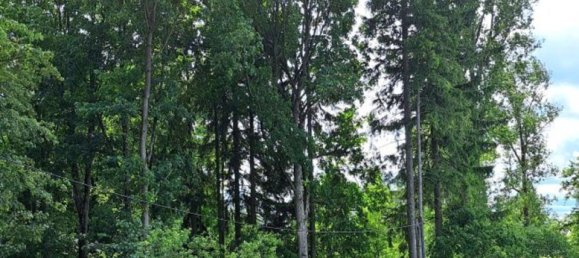  Land in Mittelsachsen, Germany No. 281316 13