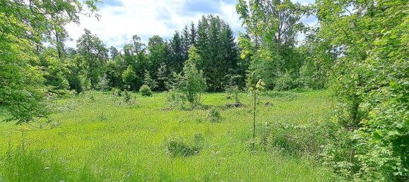  Land in Mittelsachsen, Germany No. 281316 12