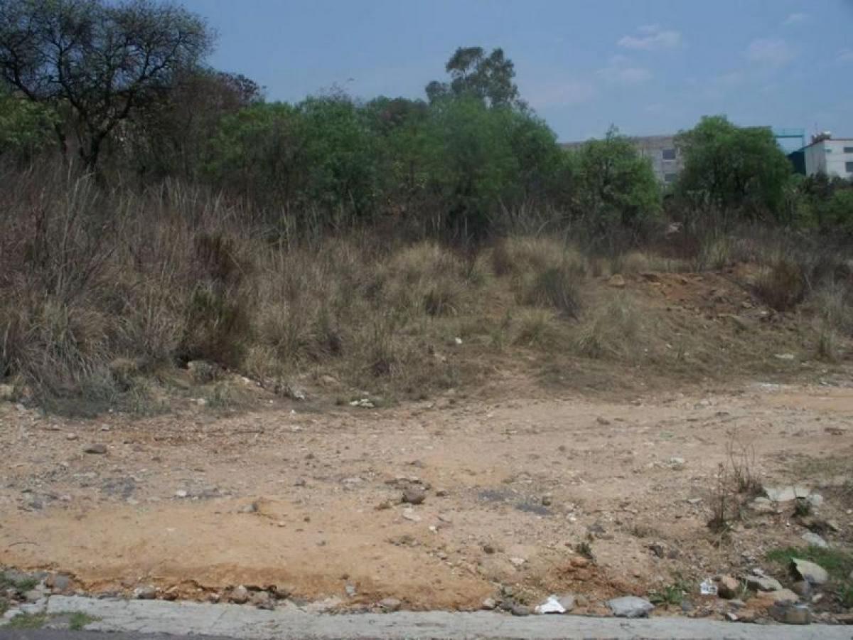Terrain à Ciudad Lopez Mateos, Mexico No. 203490