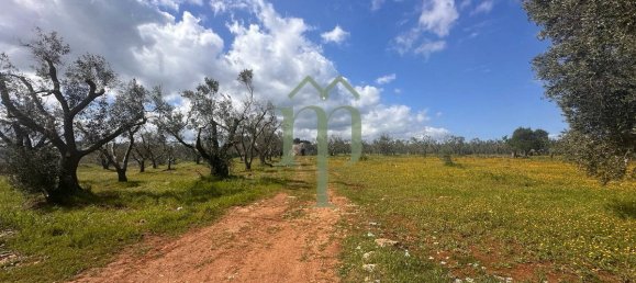 Дом с 1 спальней в Каровиньо, Италия № 199339 33