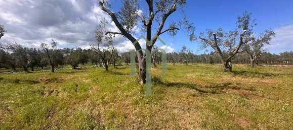 Дом с 1 спальней в Каровиньо, Италия № 199339 10