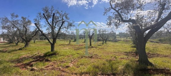 Дом с 1 спальней в Каровиньо, Италия № 199339 30