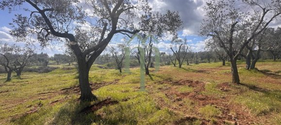 Дом с 1 спальней в Каровиньо, Италия № 199339 29