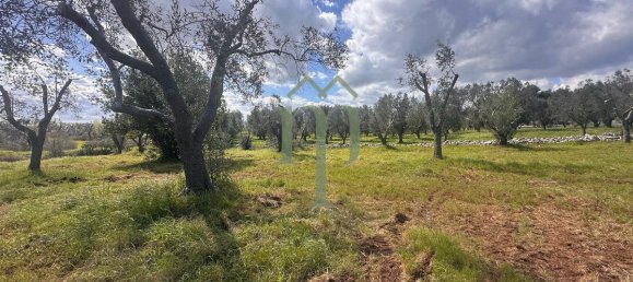 Дом с 1 спальней в Каровиньо, Италия № 199339 6