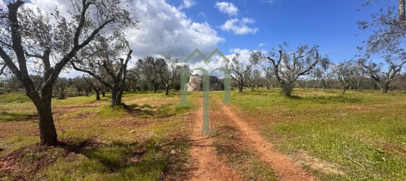 Дом с 1 спальней в Каровиньо, Италия № 199339 2