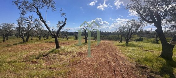 Дом с 1 спальней в Каровиньо, Италия № 199339 5