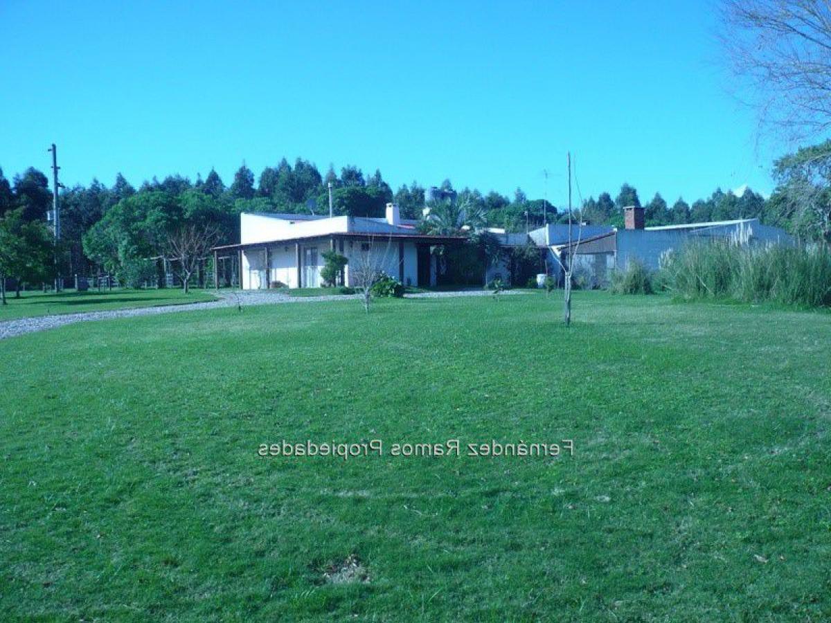 4 bedrooms House in Rocha, Uruguay No. 5493